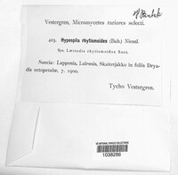 Image Associated With the Occurrence